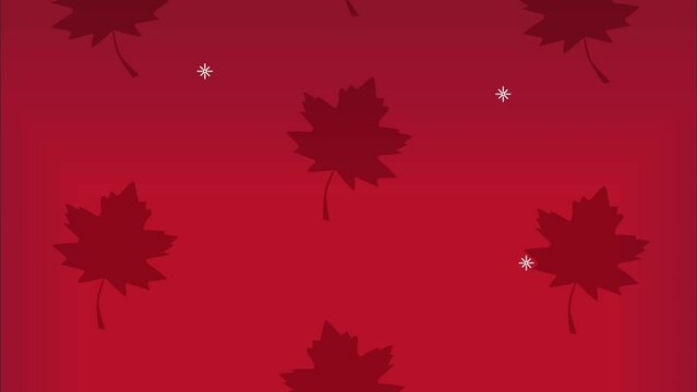 canadian maple leafs pattern animation