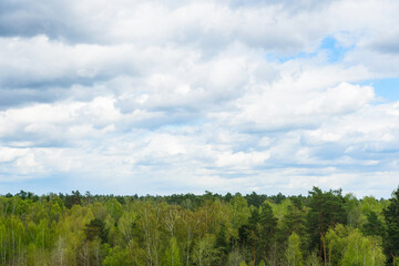 Green treetops and beautiful cloudy blue sky.