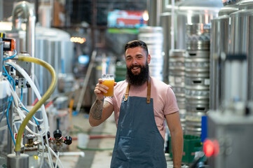 Bearded man examining the quality of craft beer at brewery
