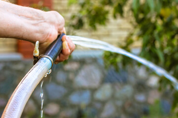 Man holding hose for watering plants in a garden. A powerful jet, a stream of clean water, drops aimed at the plants, on a lawn. Garden care at summer. Water hose close-up against green background.