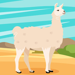 animal lama on the background of mountains