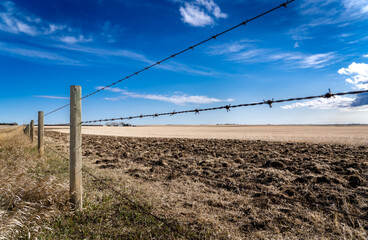 A barbed wire fence with wooden fence posts standing next to an agriculture plowed wheat field on the Canadian prairies in Rocky View County Alberta.