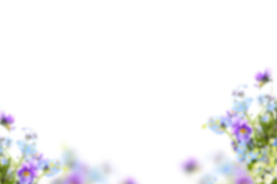 Fototapeta Flowers isolated on transparent background, Flower summer spring flowers, frame background,  without background png 