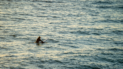 Surfer