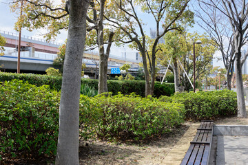 春の道路沿いの公園