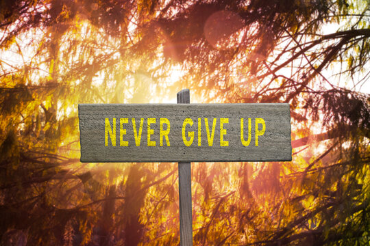 Never Give Up motivational quote on sign in nature.