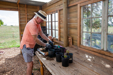 Old man potting a plant