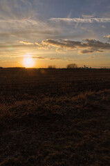 A Sunset over a Wheatfield 