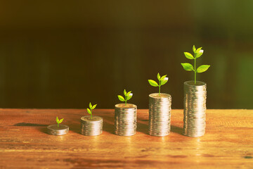 Fototapeta na wymiar Growing plant on row of coin money for finance and banking concept, Financial and business concept