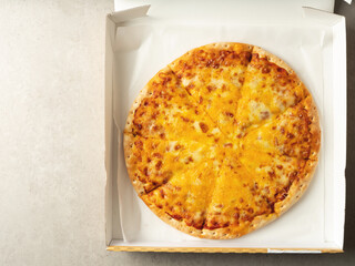 Cheese Pizza in Paper Packaging Container