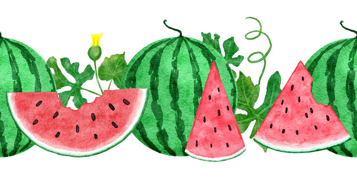 Watercolor hand drawn seamless horizontal border with red green watermelon, summer fruit seeds slices. Vegetarian vegan healthy food frame, tropical jungle vacation holiday concept.