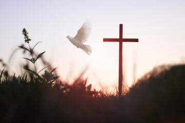 노을지는 숲 흰색 비둘기와 예수 그리스도의 거룩한 십자가는 죽음과 부활...