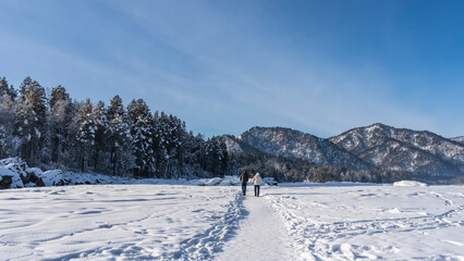 Fototapeta premium Two people walk away along a path trodden in the snow. Ahead, against the blue sky - a mountain range, a coniferous forest. Footprints in snowdrifts. Altai