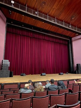 Nearly Empty Theater