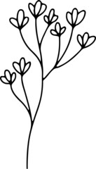 collection forest fern eucalyptus art foliage natural
leaves herbs in line style. Decorative beauty, elegant illustration 
for design: Vector flower Botanical