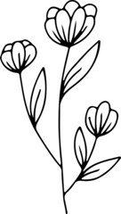 collection forest fern eucalyptus art foliage natural
leaves herbs in line style. Decorative beauty, elegant illustration 
for design: Vector flower Botanical