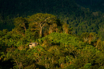 rustic house in the peruvian jungle at sunset