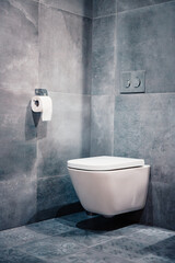 White toilet bowl in the bathroom. Modern clean hause. Hygiene concept.