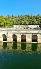 Nemausus