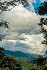 landscape of the central jungle of peru framed in tree branches