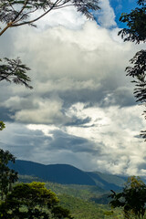 landscape of the central jungle of peru framed in tree branches