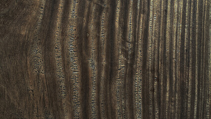 Wooden wall texture for background, Rustic Wood Surfaces.