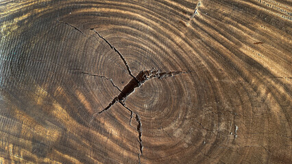 Wooden texture for background, Rustic Wood Surfaces.
