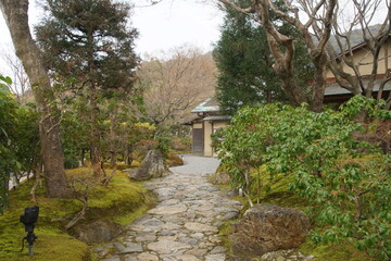 Fototapeta na wymiar 京都の高台寺の境内