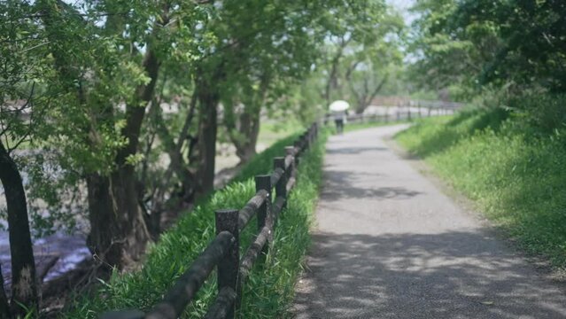 池沿いの公園を歩く人
People walking in the park along the pond
