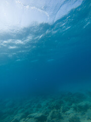 Fototapeta na wymiar underwater sea bottom landscape