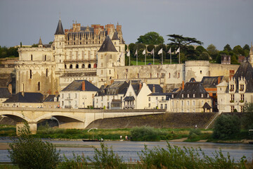 Fototapeta na wymiar view of Amboise old stone castle , town, Loire river and bridge at dusk, France