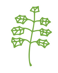 Leaves simple illustrations isolated on white background