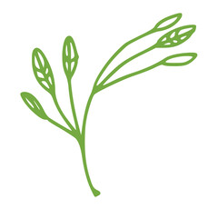 Leaves simple illustrations isolated on white background