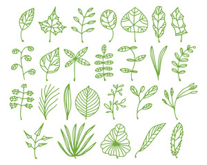Leaves simple illustrations isolated on white background