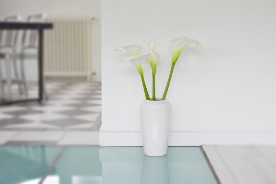 vase et arums