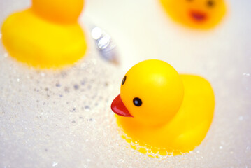 canard de bain dans un lavabo de salle de bain