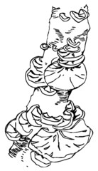 Hand drawn pen and ink study of a fungi/mushrooms - vectorised in PS	