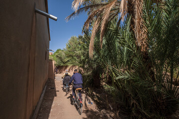 cyclists crossing the palm grove, Skoura, Ouarzazate Province, morocco, africa
