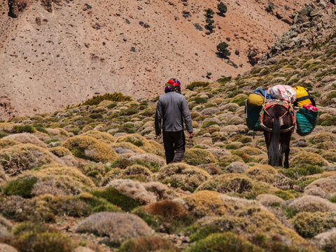 trekking group among thorny bushes, trail to Azib Ikkis via Timaratine, MGoun trek, Atlas mountain range, morocco, africa
