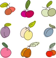 berries and fruite colorful vector illustration set