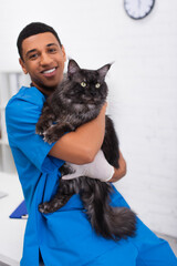 Cheerful african american veterinarian hugging maine coon and looking at camera in clinic
