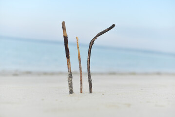 Concarneau - bâtons plantés dans le sable