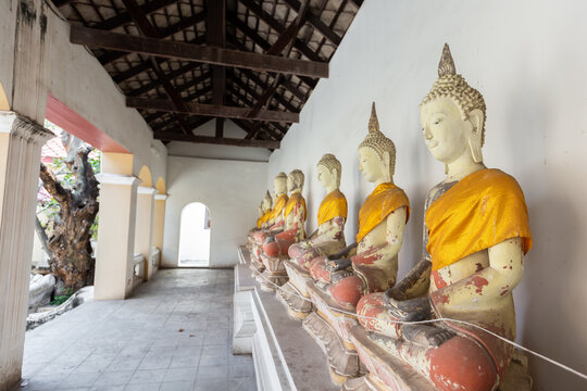 The Buddha statue is a symbol of the representative of the Buddhist prophets that Buddhists use to pay respect.
