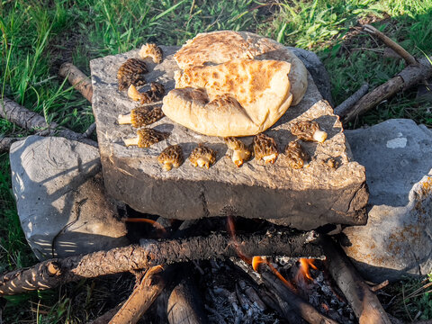cooking mountain camping meal with natural morel mushroom