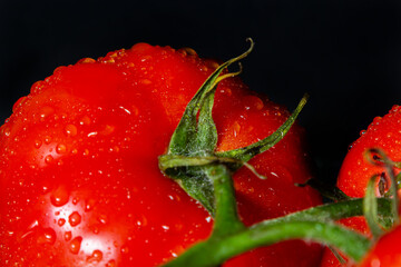photo tomatoes with drops of water on a black background
