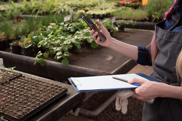 hands of woman making photoes of young plant seedlings by mobile phone in greenhouse - Powered by Adobe