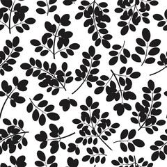 Fototapeta na wymiar Moringa. Leaves and branches. Seamless pattern. Black silhouette
