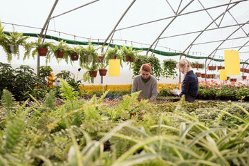 woman choosing plants in greenhouse of garden mall and young florist helping her