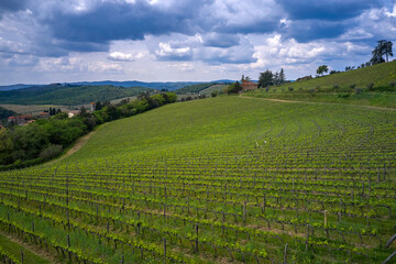 Fototapeta na wymiar Aerial view on the vineyards of Tuscany, Italy