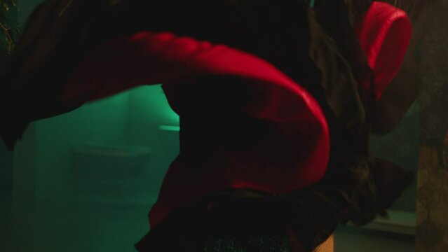 Woman dancing spanish hot dance . Professional dancer in latin dress performs dance movement by skirt . Closeup studio shot of female artist dancing inside dark place . Concept footage of dance art
